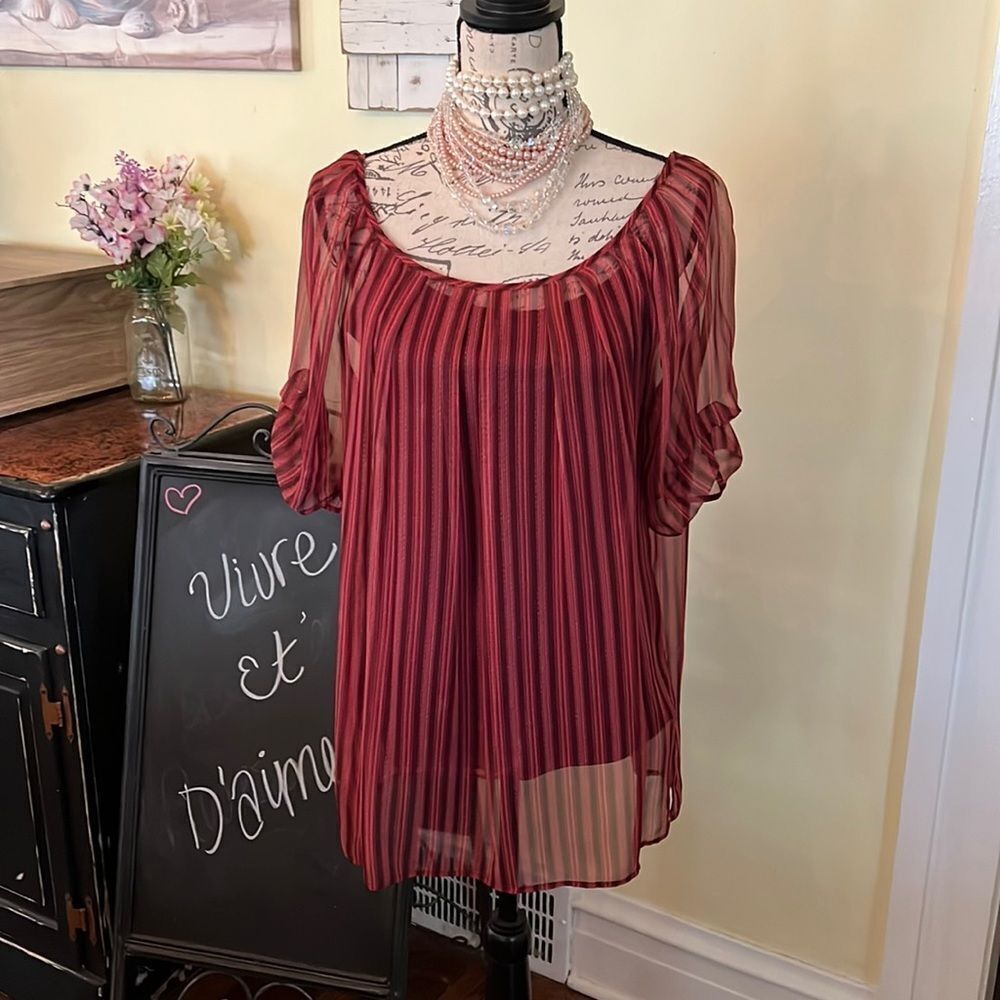 *Worth* SZ M 2pc 💯 SILK Sheer Striped Tunic Blouse and Cami Liner